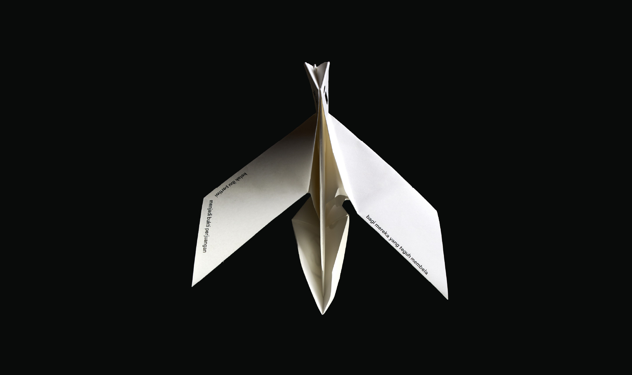 web-24
